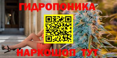 эйфоретик Шахты